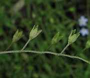 IMG_8387