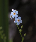 IMG_1346