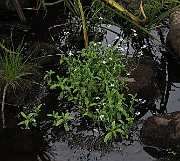 IMG_1375