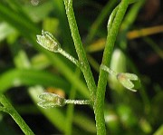 IMG_3451b
