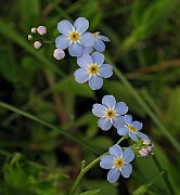 IMG_6538