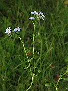IMG_6540