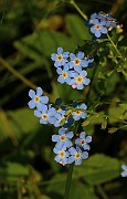 IMG_6651