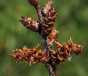 IMG_4717