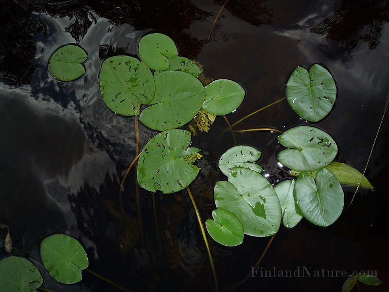 P1040243.JPG