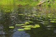 IMG_6985