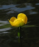 IMG_6990