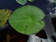 P1040248