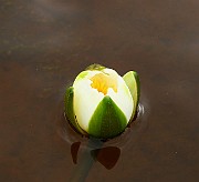 IMG_1877