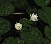 IMG_2033