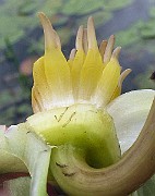 IMG_5103