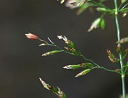 IMG_9945
