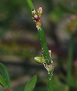IMG_6080