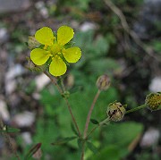 IMG_2872
