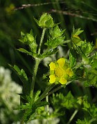 IMG_7459