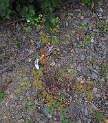 IMG_9283