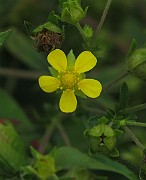 IMG_9332