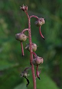 IMG_2290