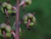 IMG_2291