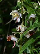 IMG_9866