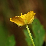 IMG_6343