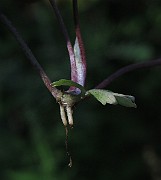 IMG_9203