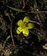 IMG_1975