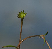 IMG_1986