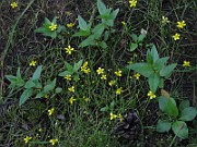 IMG_5226