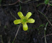 IMG_5235