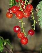 IMG_3027b