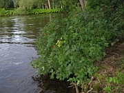 IMG_3030