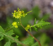 IMG_1713
