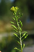 IMG_1715