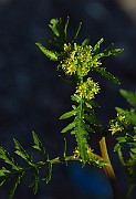 IMG_1717