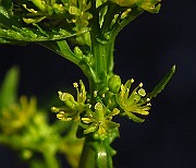 IMG_1719