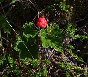 IMG_0104