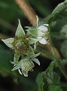 IMG_1635