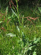 IMG_1631