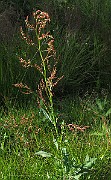 IMG_1632