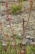 IMG_6328