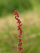 IMG_6329