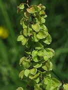 IMG_6267