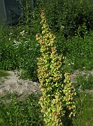 IMG_8030