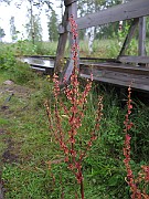 IMG_0197