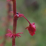 IMG_0204