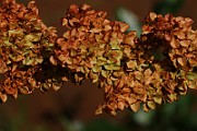 IMG_6306