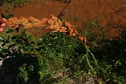 IMG_6307
