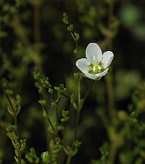 IMG_2152