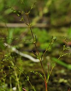 IMG_2153